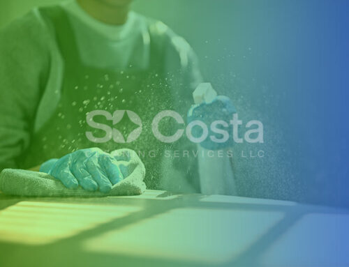 Dust in the Air: How Cleaning Reduces Allergies | SD Costa